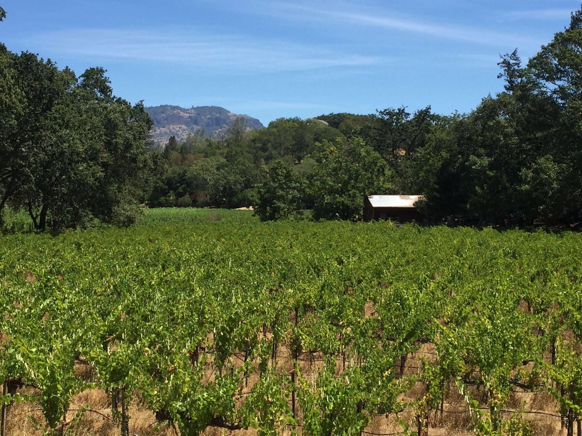 Villa Mimosa Calistoga Eksteriør billede